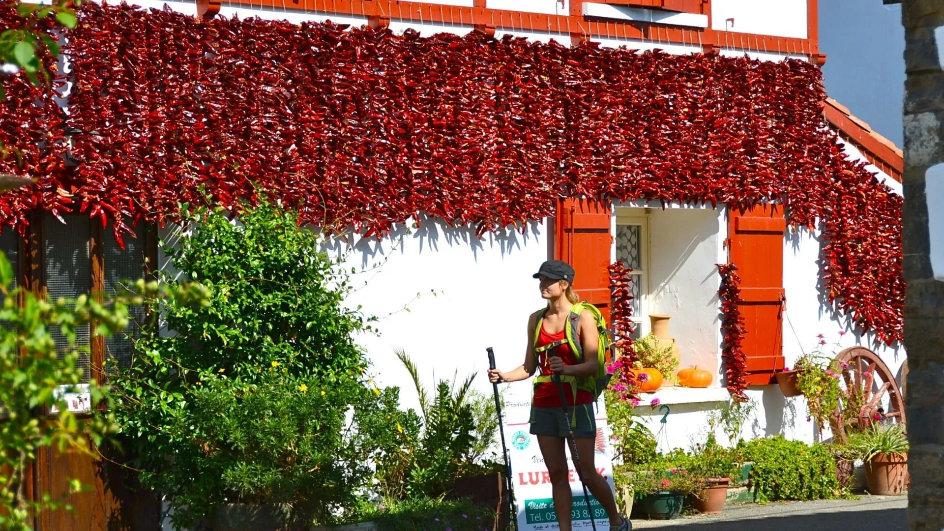 Campagne suédoise - Région de Nils Holgersson - Suède - swedish-countryside-nils-holgersson-region-sweden-2