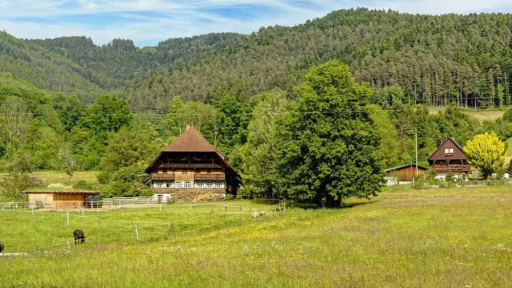 Baignade dans les roches blanches de Sarakiniko - Milos - Grèce