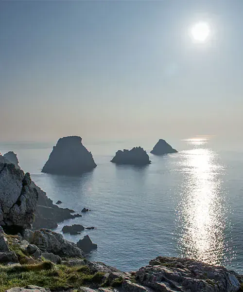 Tas de Pois © Adobe stock