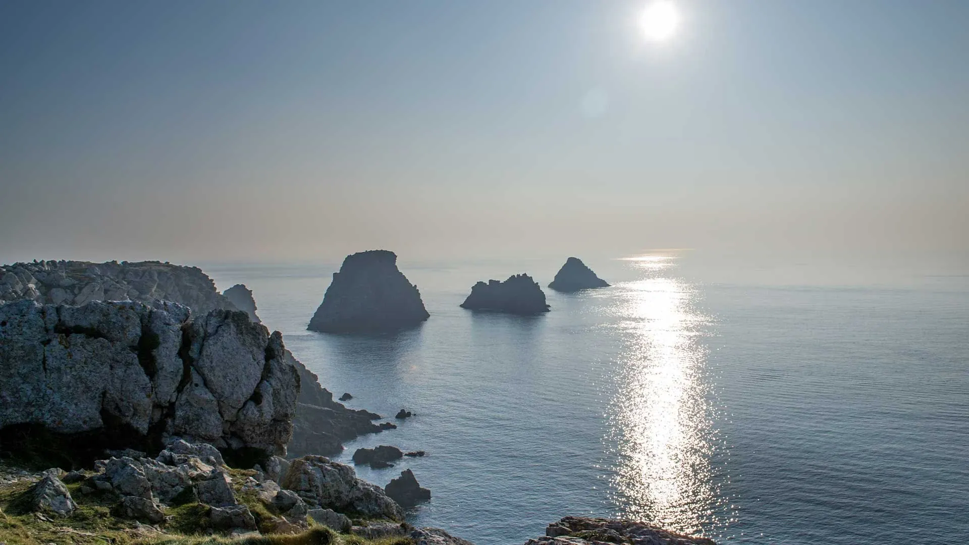 Tas De Pois C Adobe Stock - France © Adobe Stock