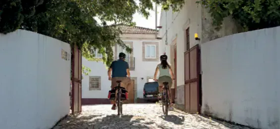 Vignobles en terrasses - Vallée du Douro - Portugal