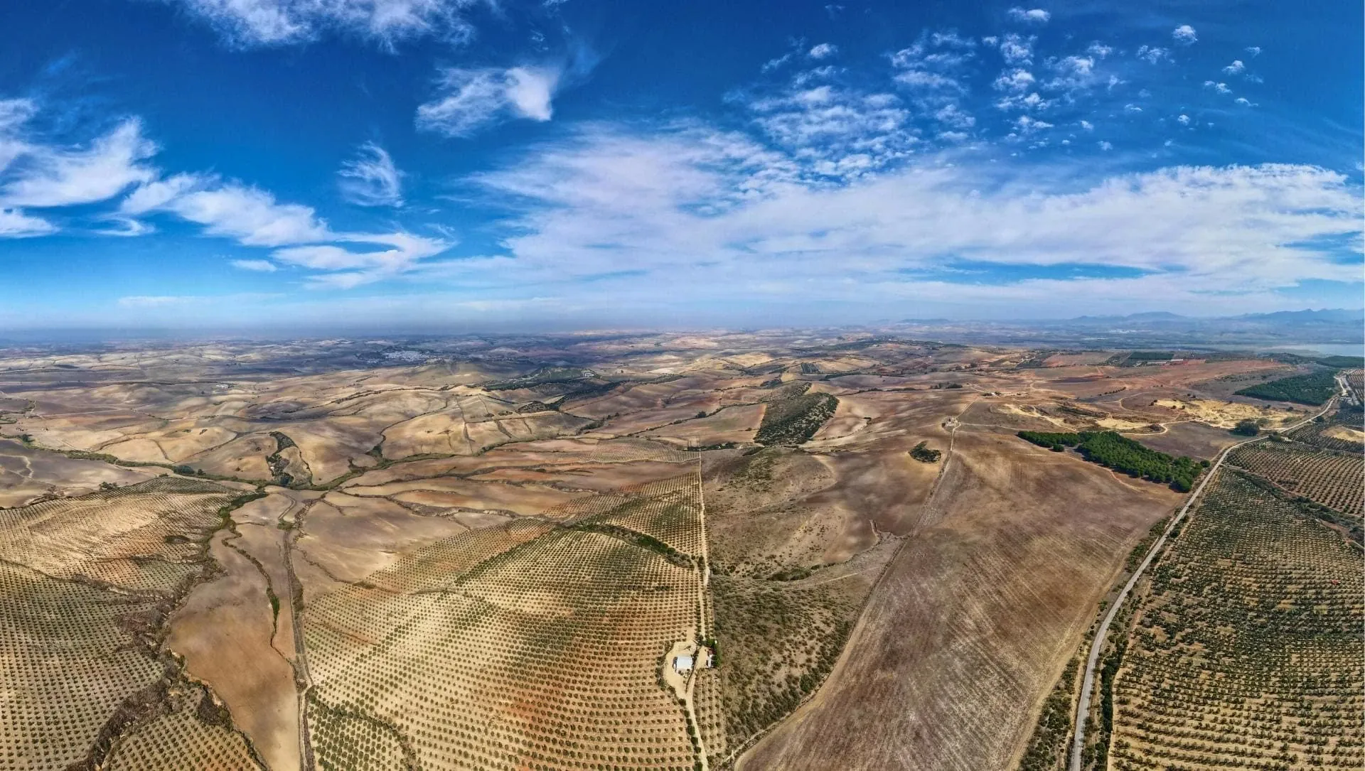 Terres Andalouses Pres Darcos De La Frontera Andalousie C David Praire - Andalousie - Espagne © David Praire
