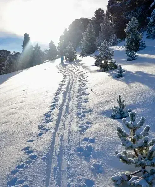 Essai du matériel de ski - Norvège © M. Offredi