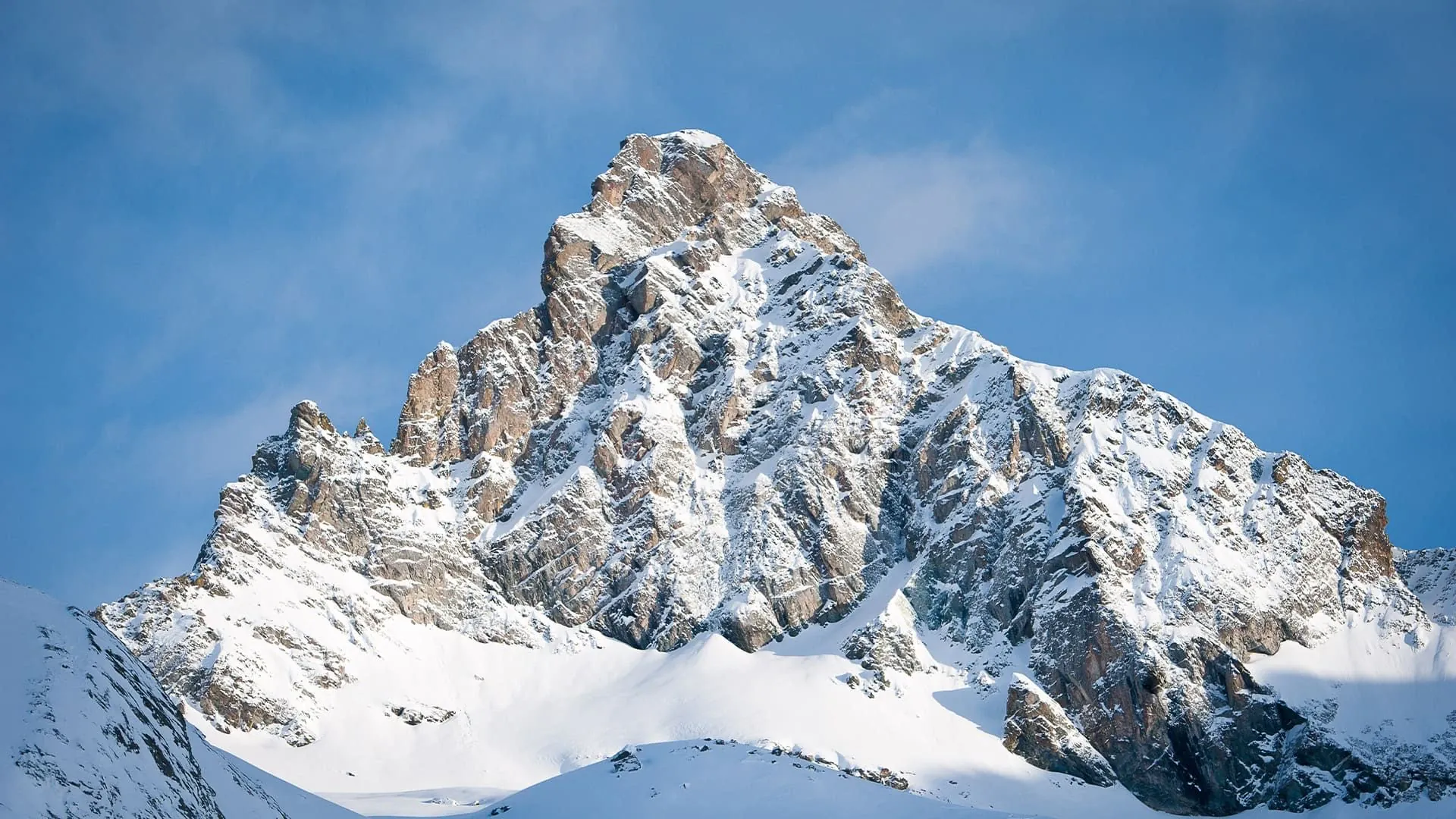 Tete Des Toilies - France