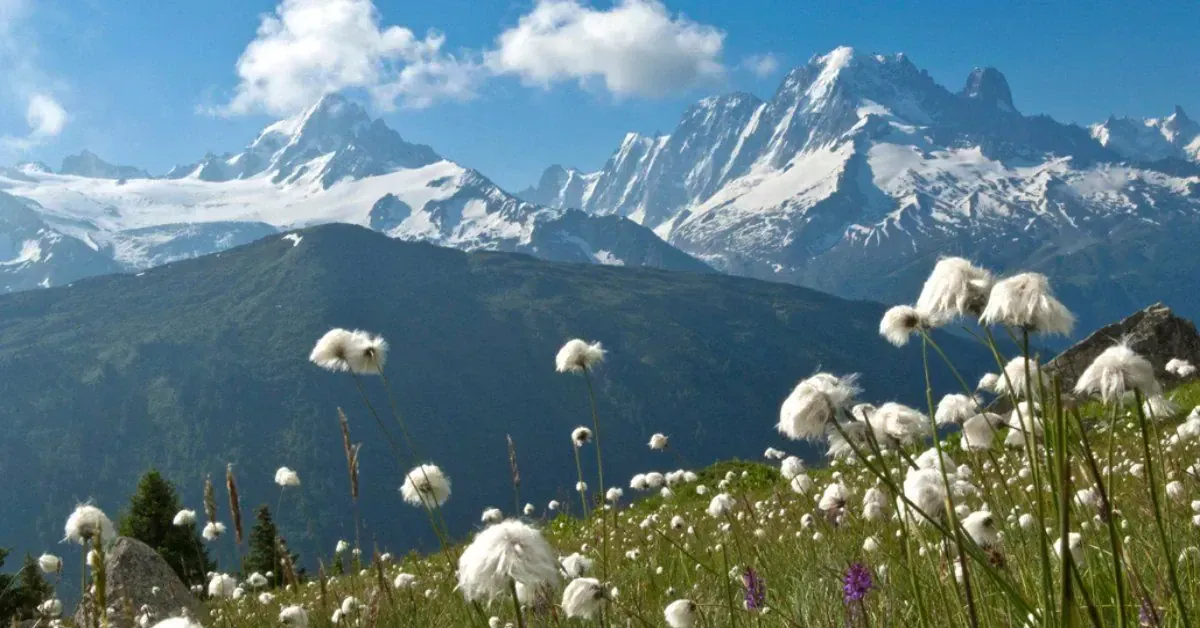 Les 10 plus beaux treks des Alpes