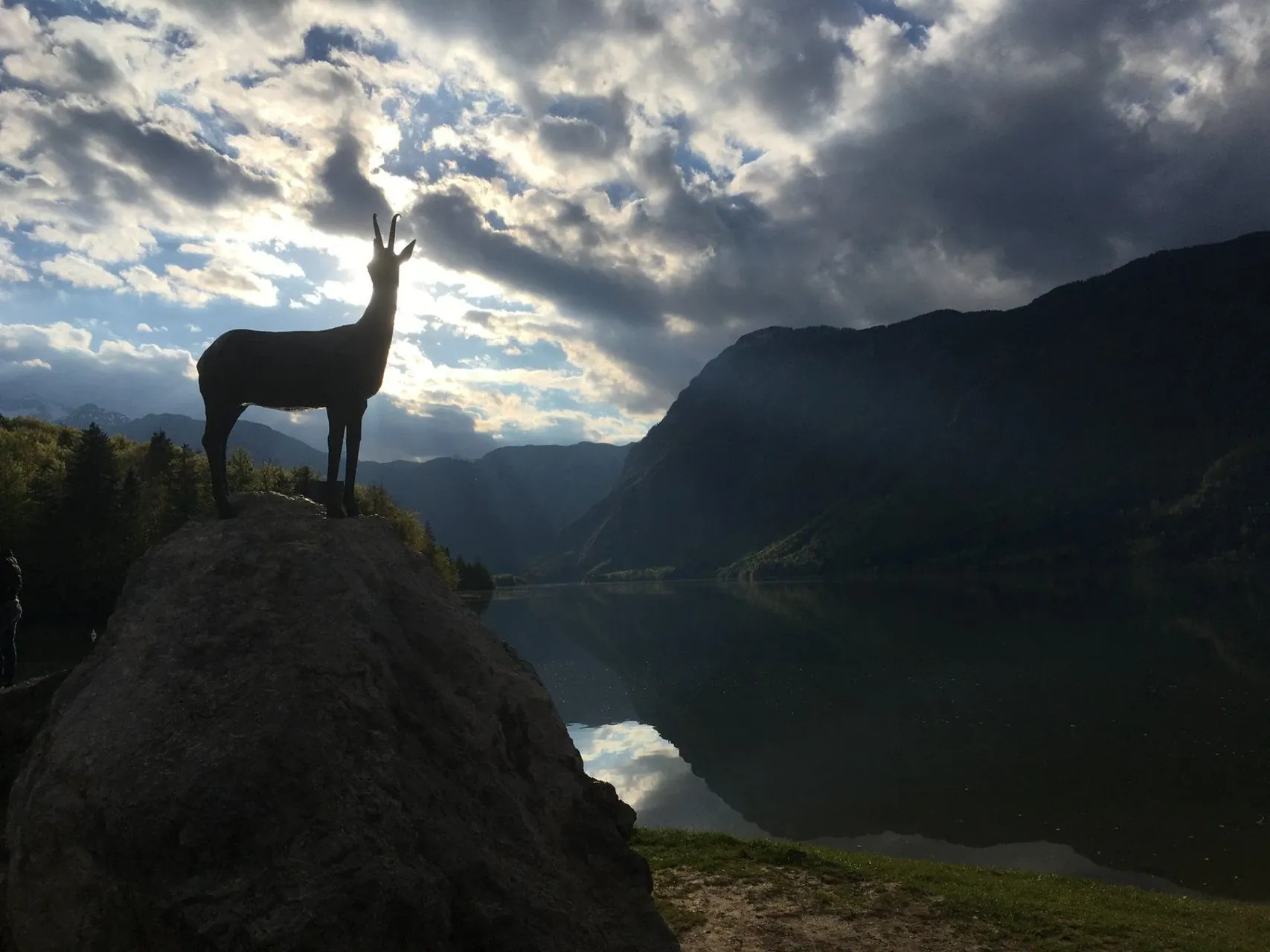 Thumbnail Bohinj - Slovénie - thumbnail-bohinj-slovenie-4