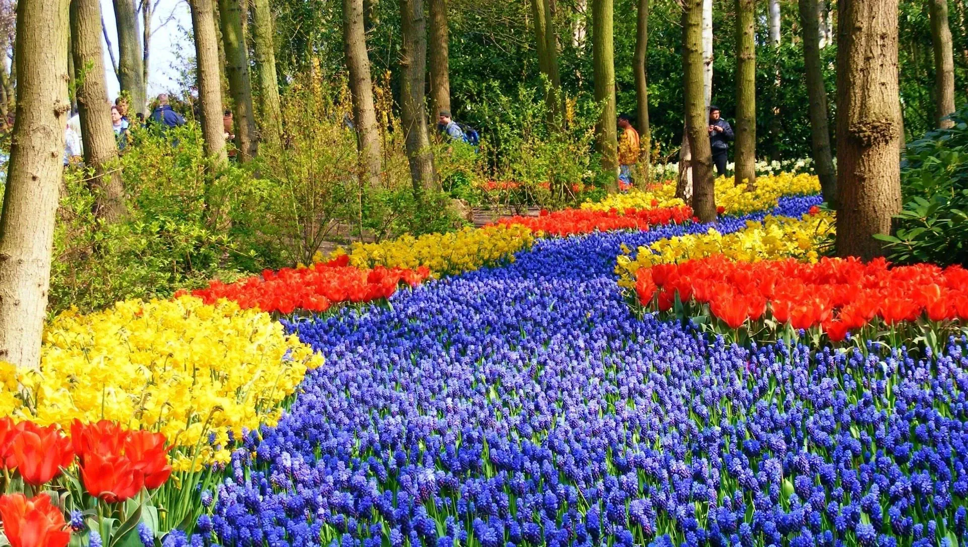Parc de Timanfaya - Lanzarote - Espagne © David Praire