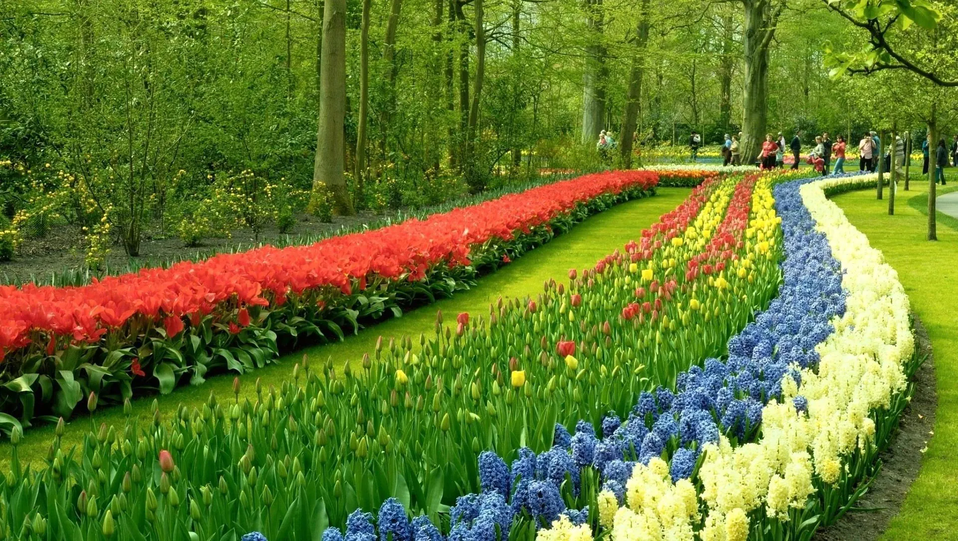 Parc du château de Tjolöholm - Suède