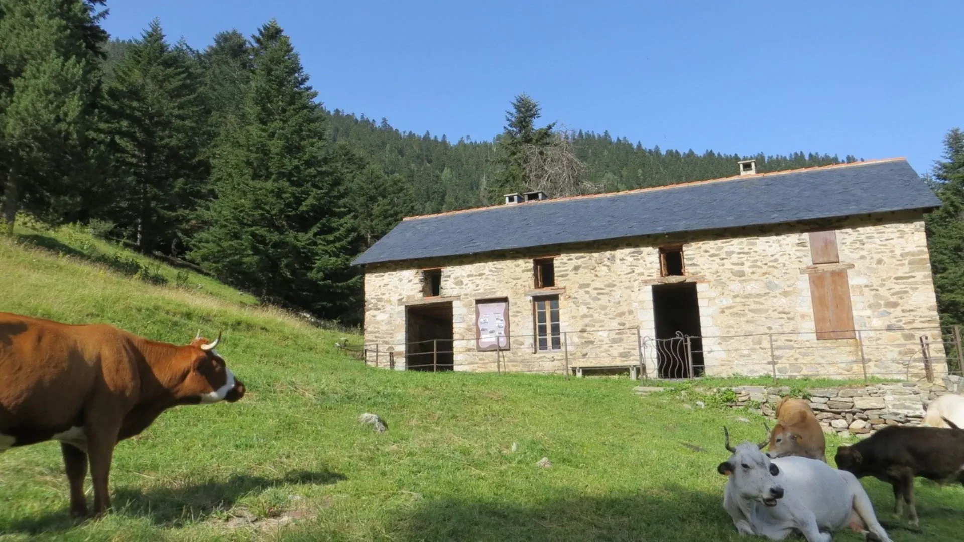 Tour Du Canigou - France - tour-du-canigou-france-3