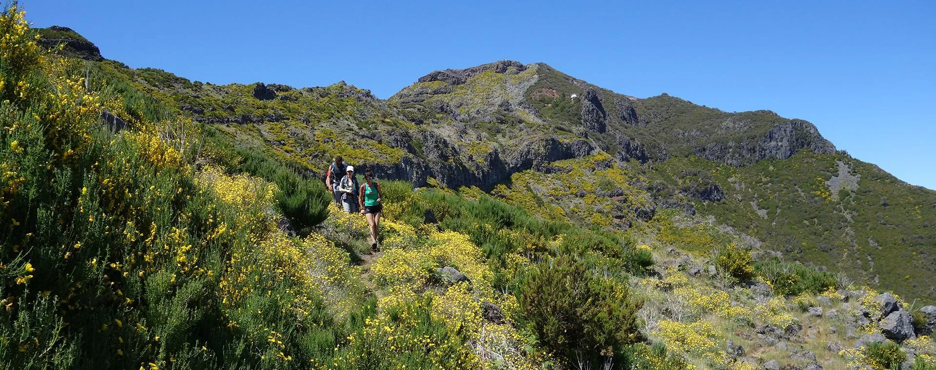 Tour Ile Madere - Madère - Portugal - tour-island-madere-madere-portugal-2