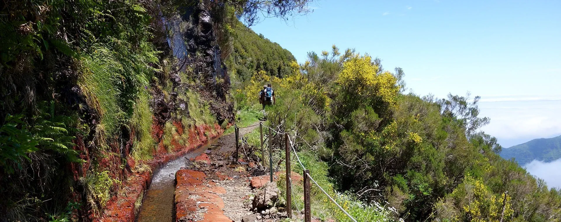 Tour Ile Madere - Madère - Portugal - tour-island-madere-madere-portugal-6