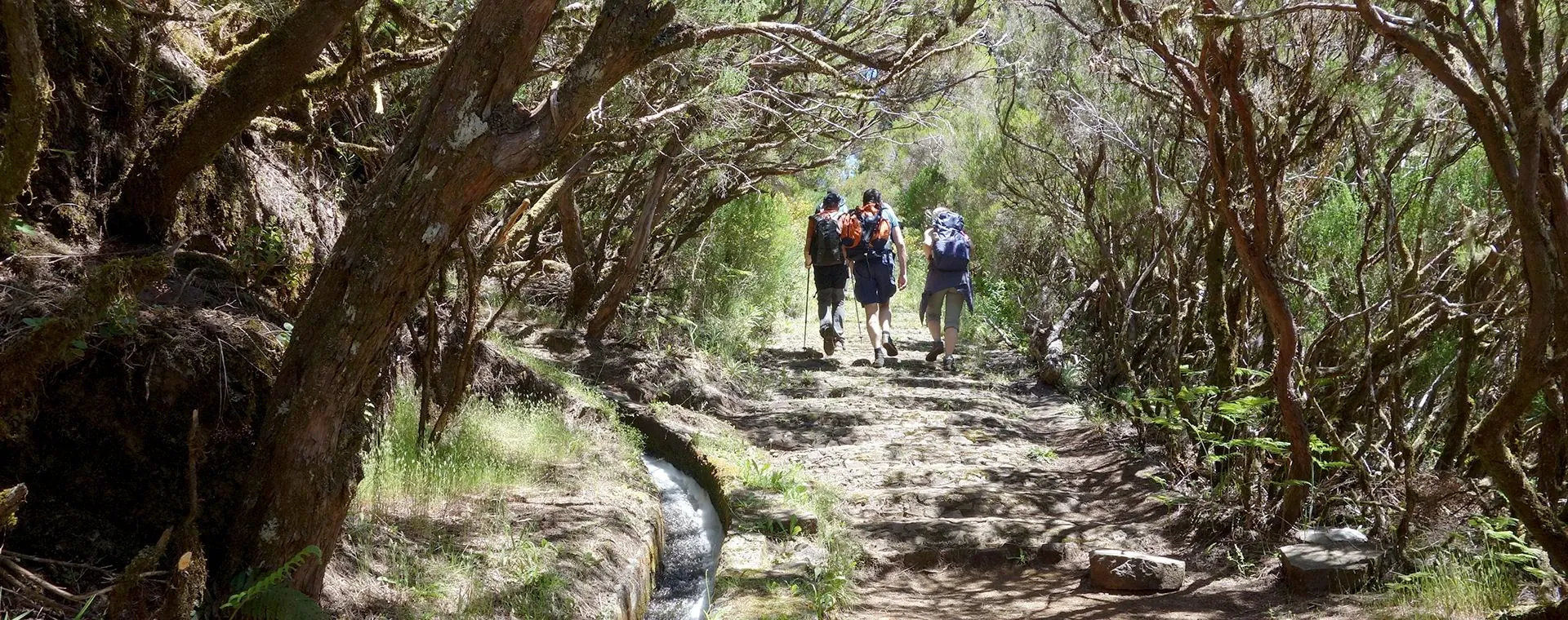 Tour Ile Madere - Madère - Portugal - tour-island-madere-madere-portugal-8