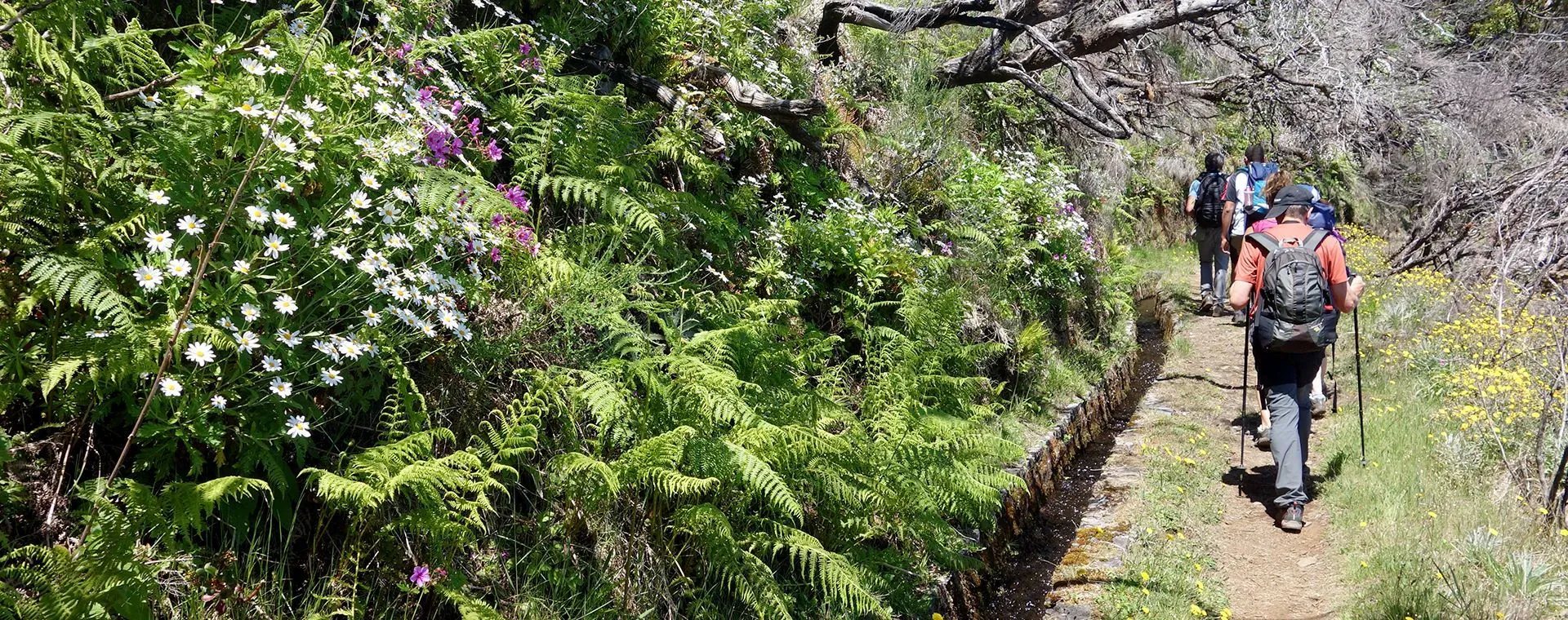 Tour Ile Madere - Madère - Portugal