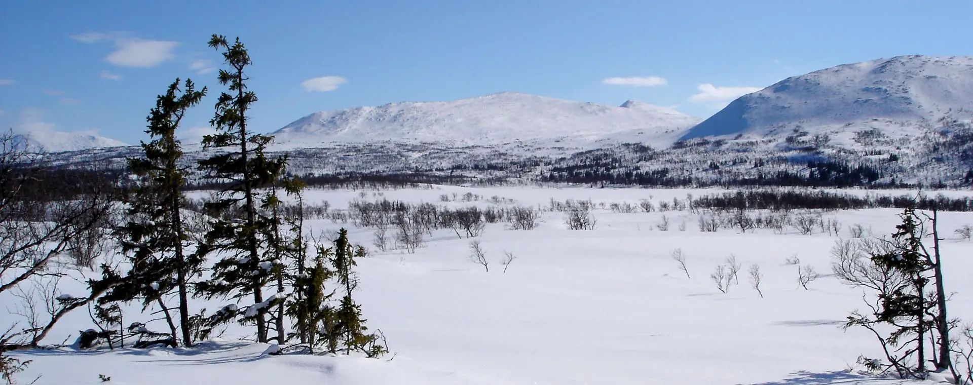 Tour Jamtland - Suède - tour-jamtland-suede-4