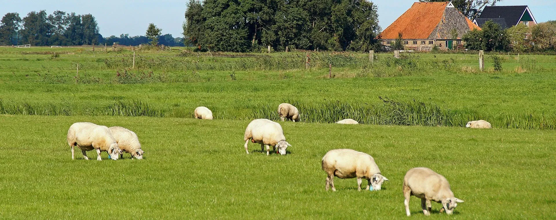 Tour Onze Villes Frisonnes - Pays-Bas - tour-onze-villes-frisonnes-pays-low-6