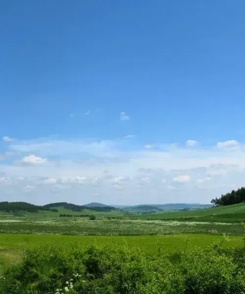 Vers Paradelles - Chemin de Stevenson - France