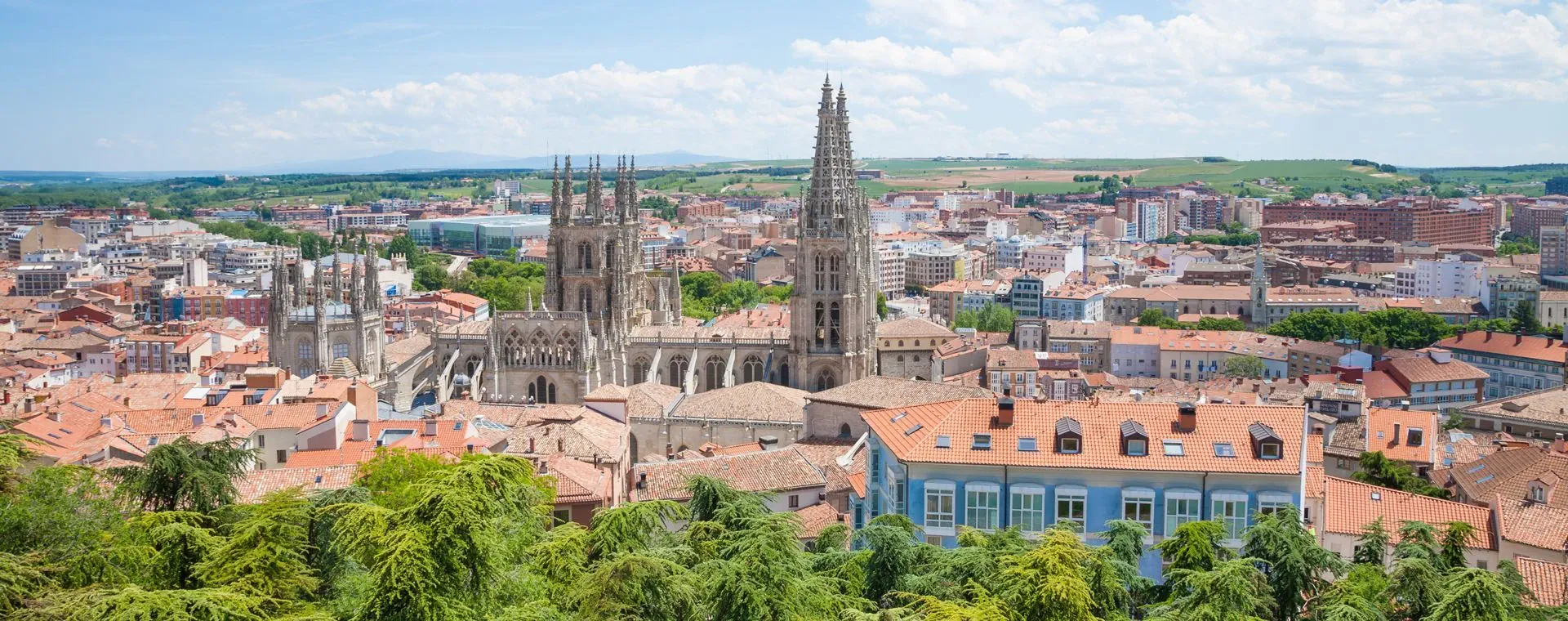 Ville Burgos Cathedrale Sainte Marie - Espagne