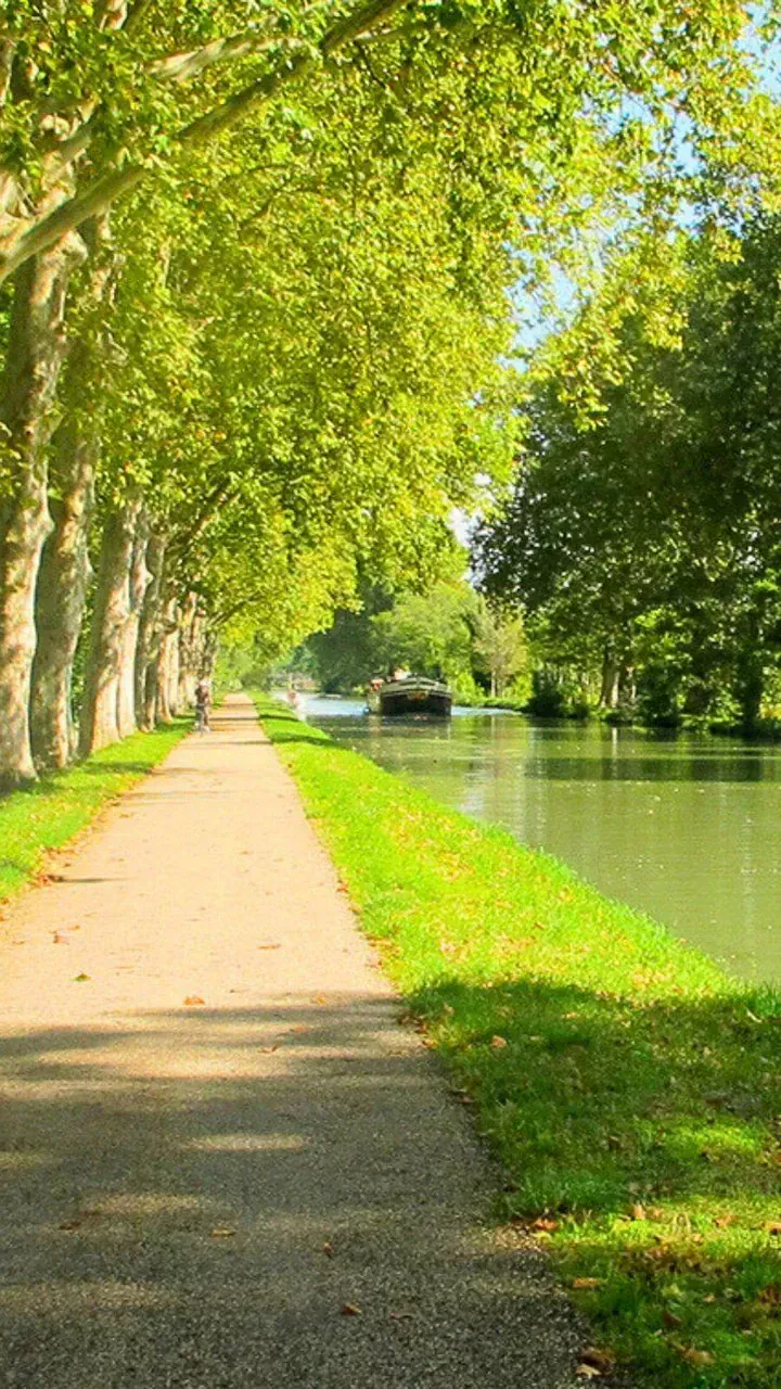 Chemin de halage le long du canal de la Garonne - France