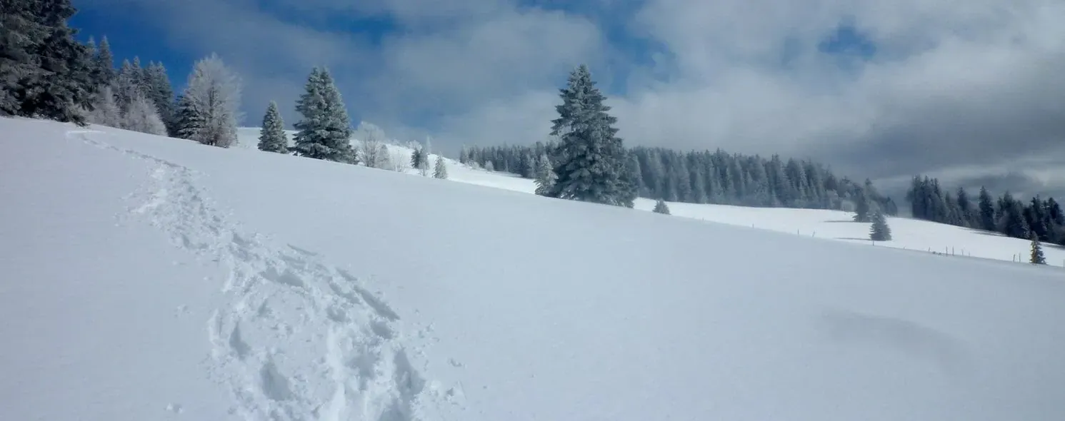 Traces Raquettes Neige Foret Noire Min - Allemagne