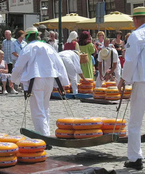 Marché aux fromages traditionnel d'Alkmaar avec porteurs en blanc - Hollande-Septentrionale - Pays-Bas