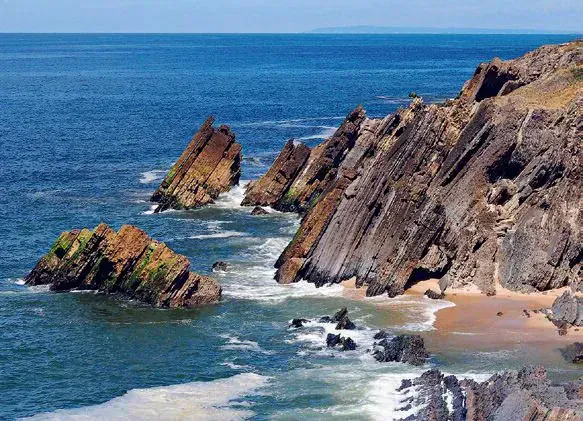 Moliceiros traditionnels - Aveiro - Portugal