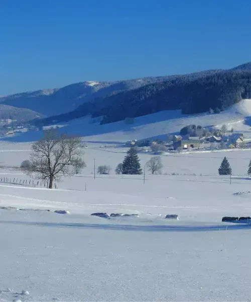 Moulins à vent traditionnels de Zaanse Schans - Hollande - Pays-Bas