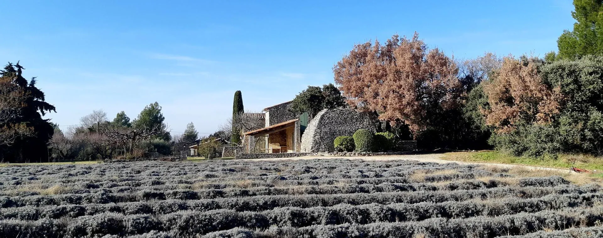 Sentier dans le Luberon - Provence - France