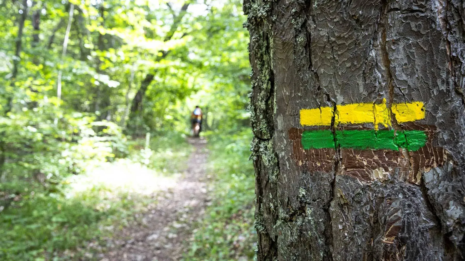 Balisage du sentier du Trièves vers le Mont Aiguille - Vercors - France