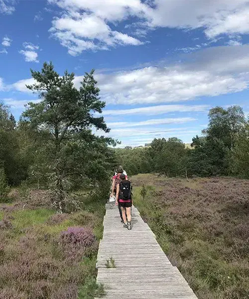 Sentier près des grottes de Choranche - Vercors - France