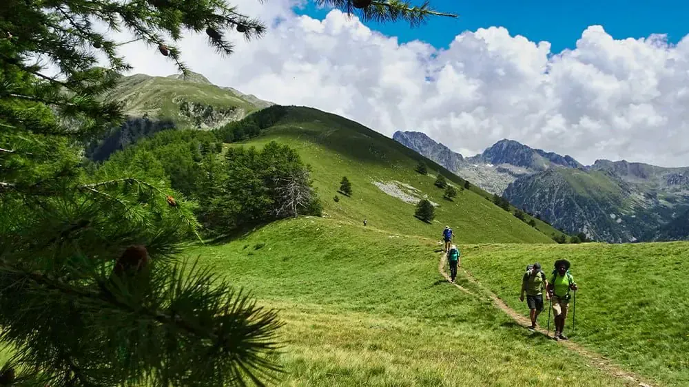 Sentier surplombant le littoral - Guérande - France