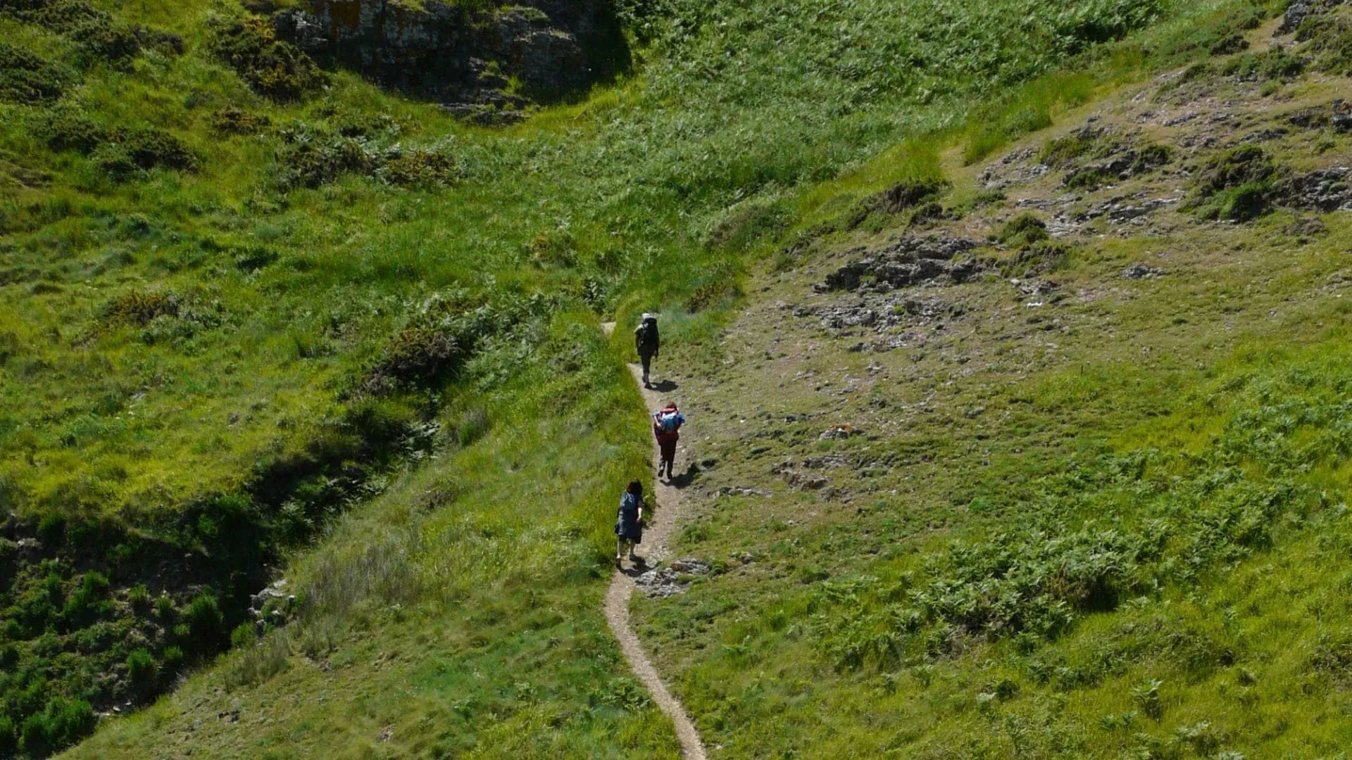 Sentier vers le phare de la Pointe des Poulains - Belle-Île - France © Sabatier Fanny