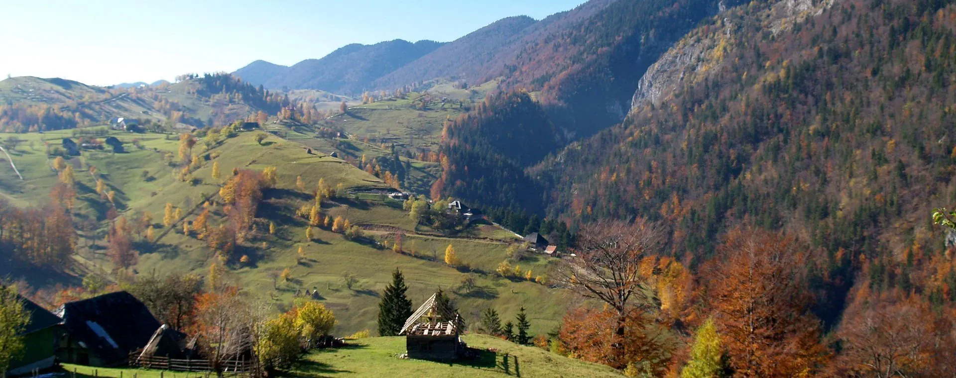 Campagne de Transylvanie - Roumanie