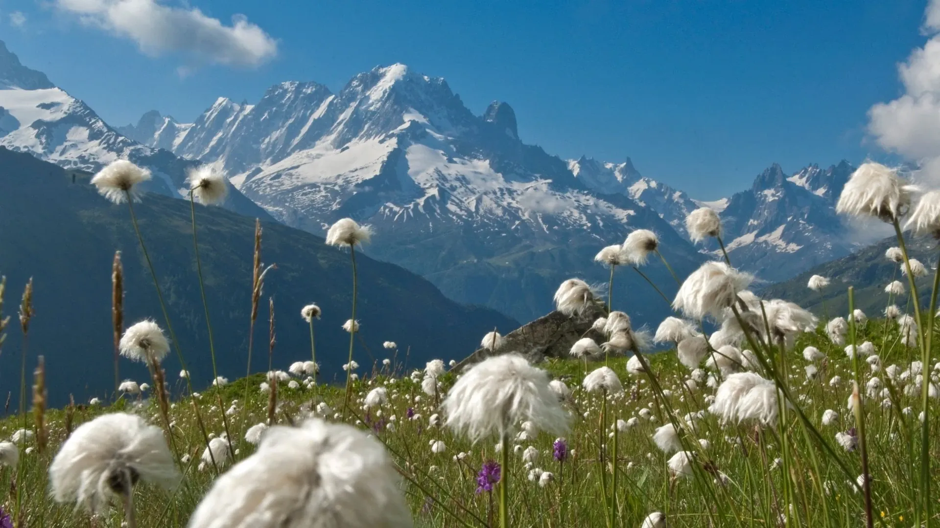 Trek 9 jours TMB - Mont-Blanc randonnée