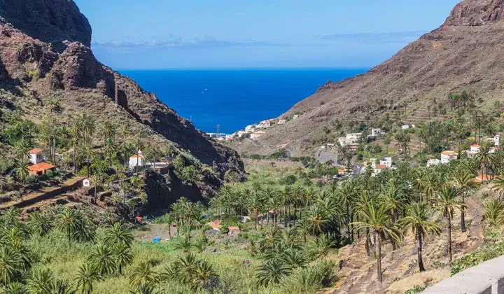 Vallee tropicale avec palmiers et ocean a La Gomera Canaries