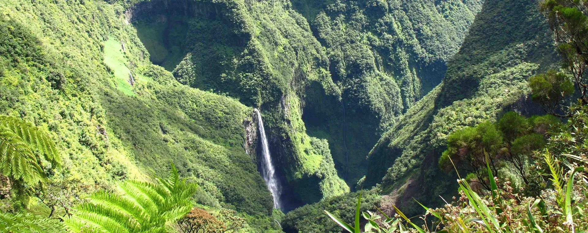 Trou De Fer - Île de la Réunion