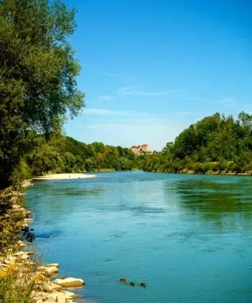 Rivière Salzach aux eaux turquoise bordée d'arbres - Autriche