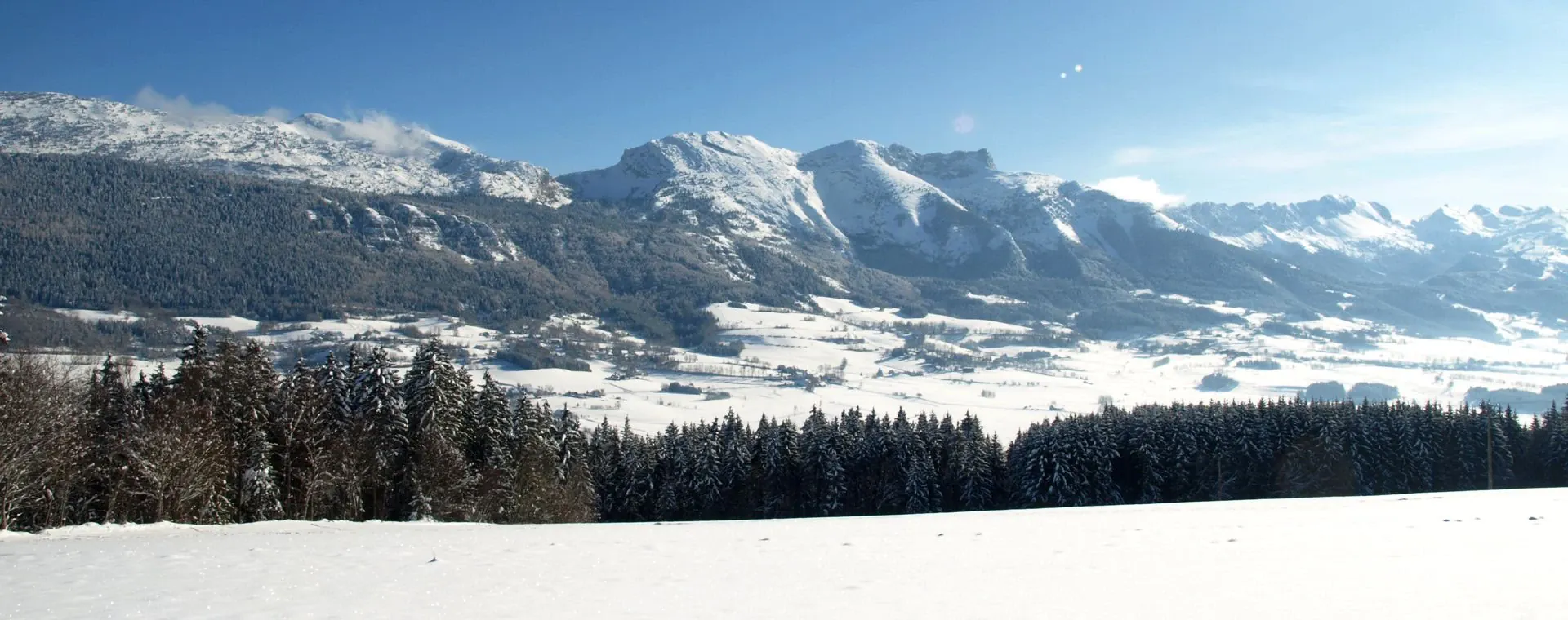 Paysage typique islandais verdoyant - Islande