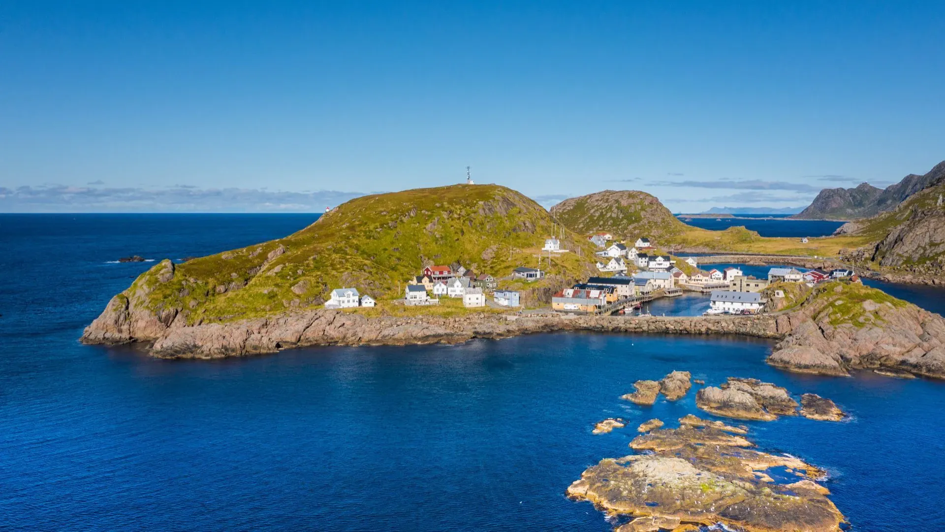 Flore alpine unique du Jotunheimen - Norvège