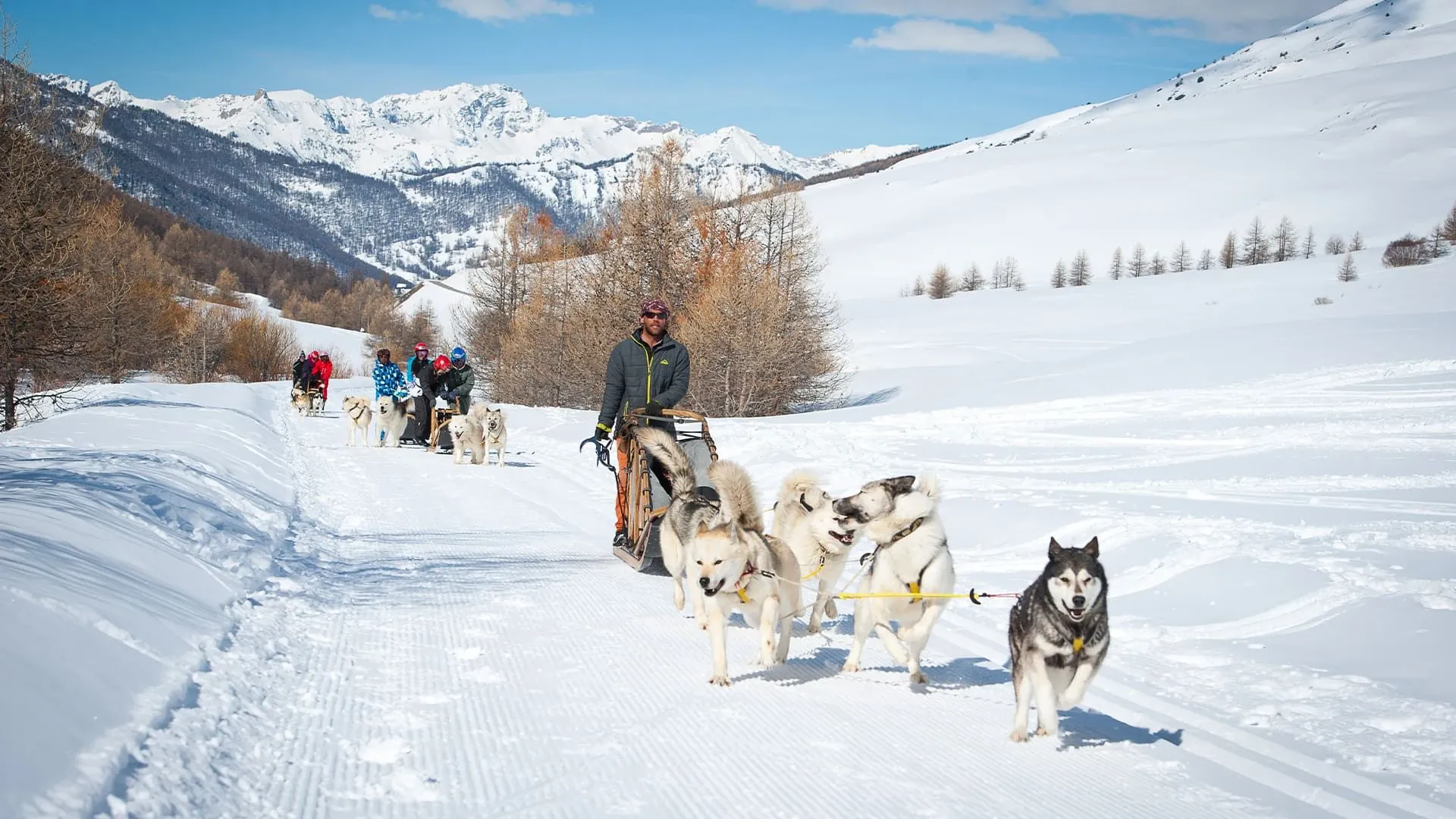 Vacances Famille Chiens De Traineaux Queyras - France