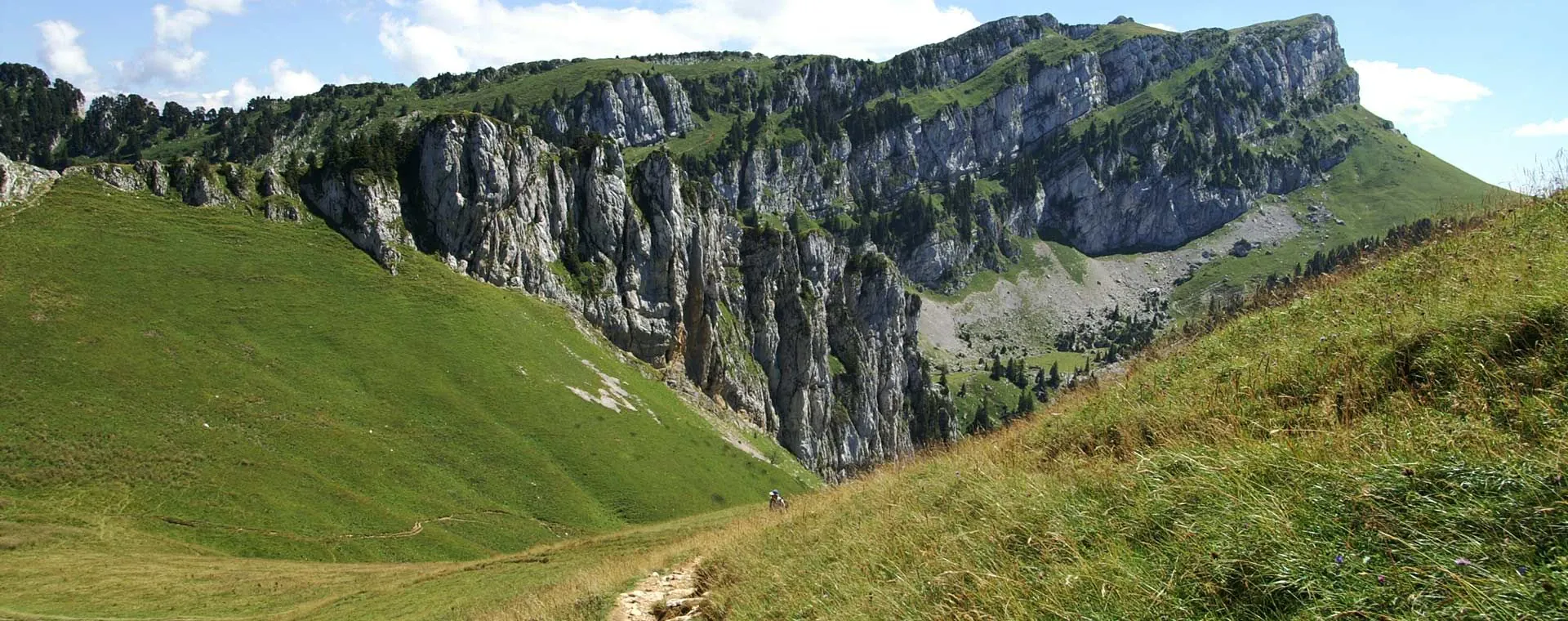 Vallee Chartreuse - Chartreuse - France