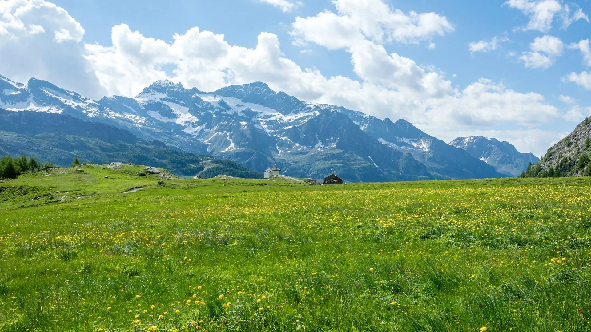 Vallee De Gressoney C Adobe Stock - Suisse © Adobe Stock