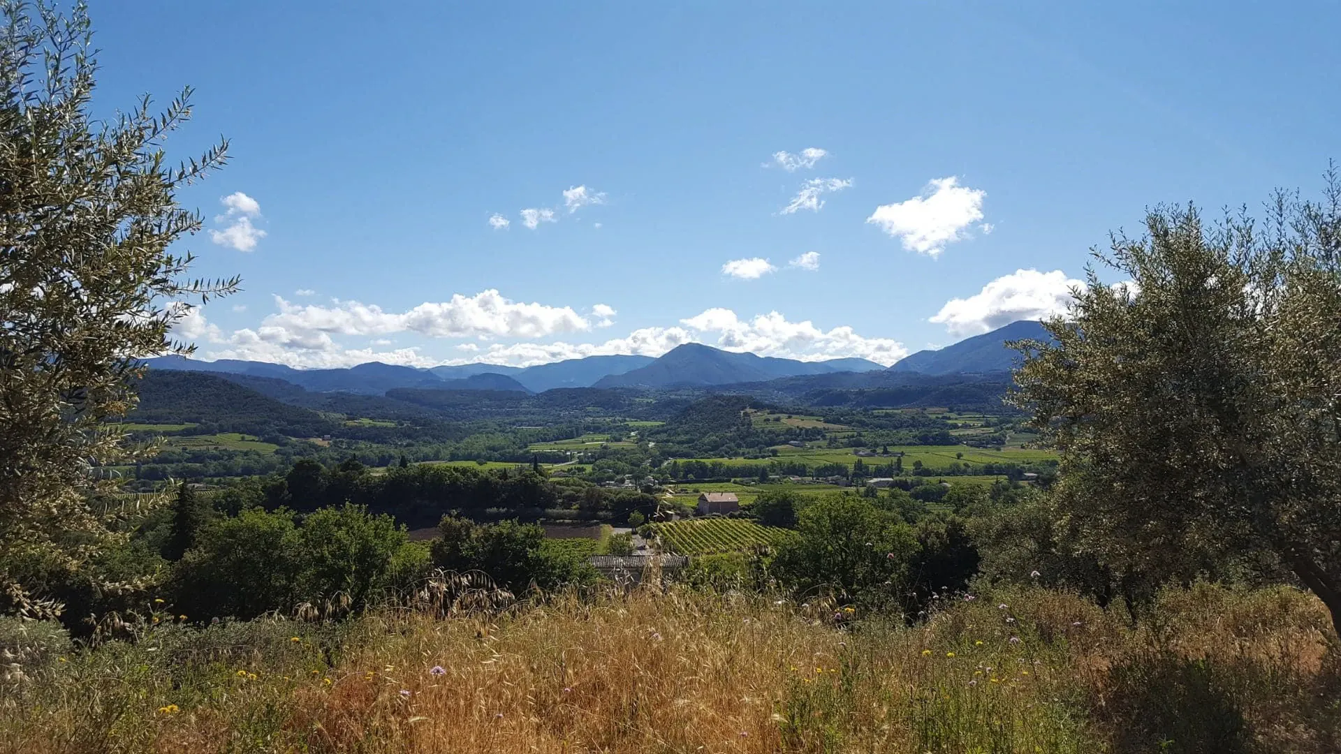 Vallee De La Drome Entre La Provence Et Le Vercors - Provence - France