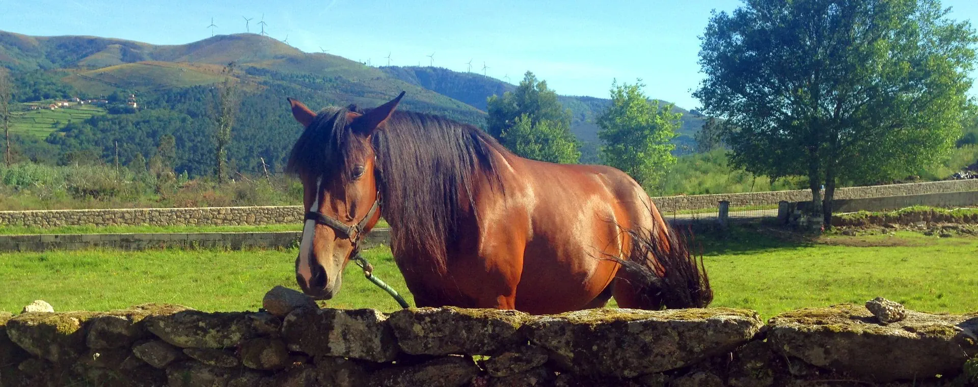 Vallee Douro - Portugal