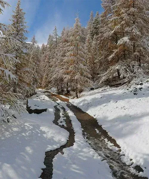 Vallon de Narreyroux © AdobeStock