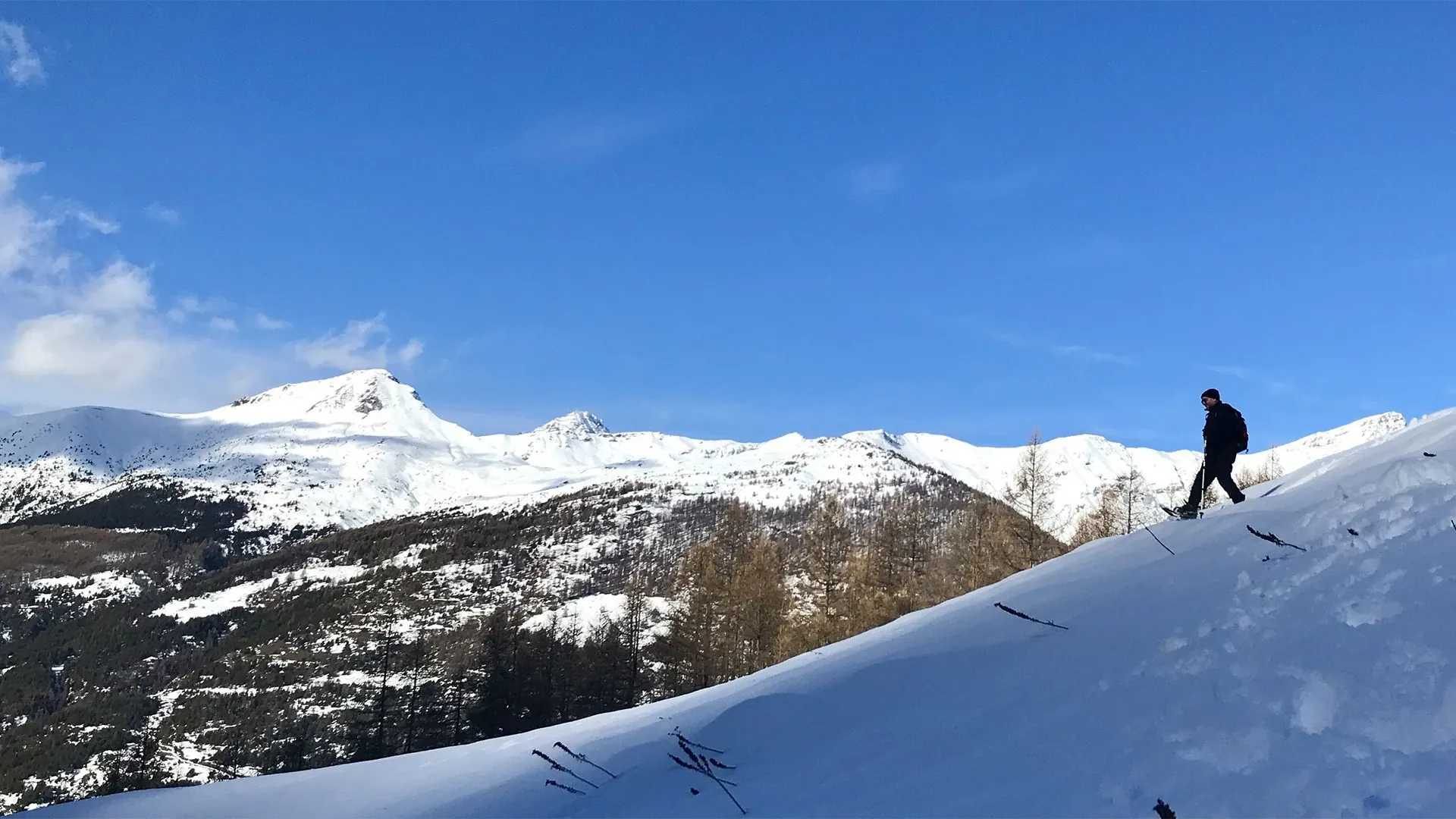 Alpage de la Vanoise - Vanoise - France