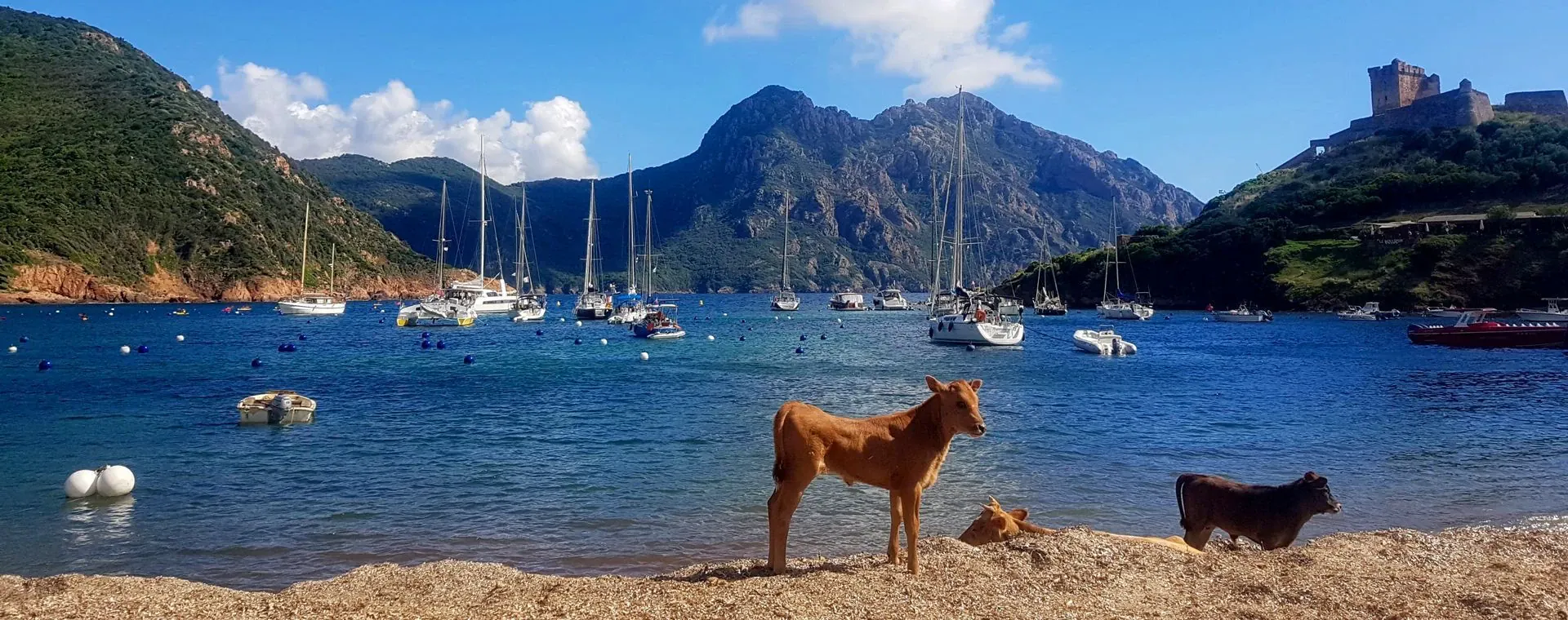 Plage du Veillon - Vélodyssée - Vendée - France © Aurélie Stapf