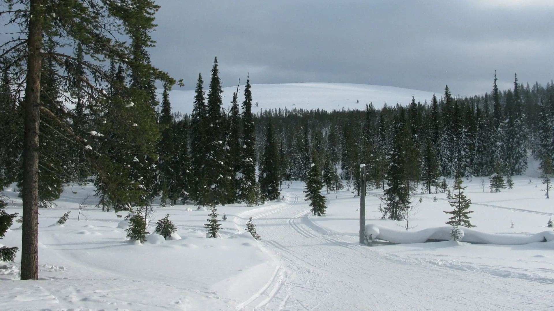 Traversée du Vercors en raquettes - Alpes - France