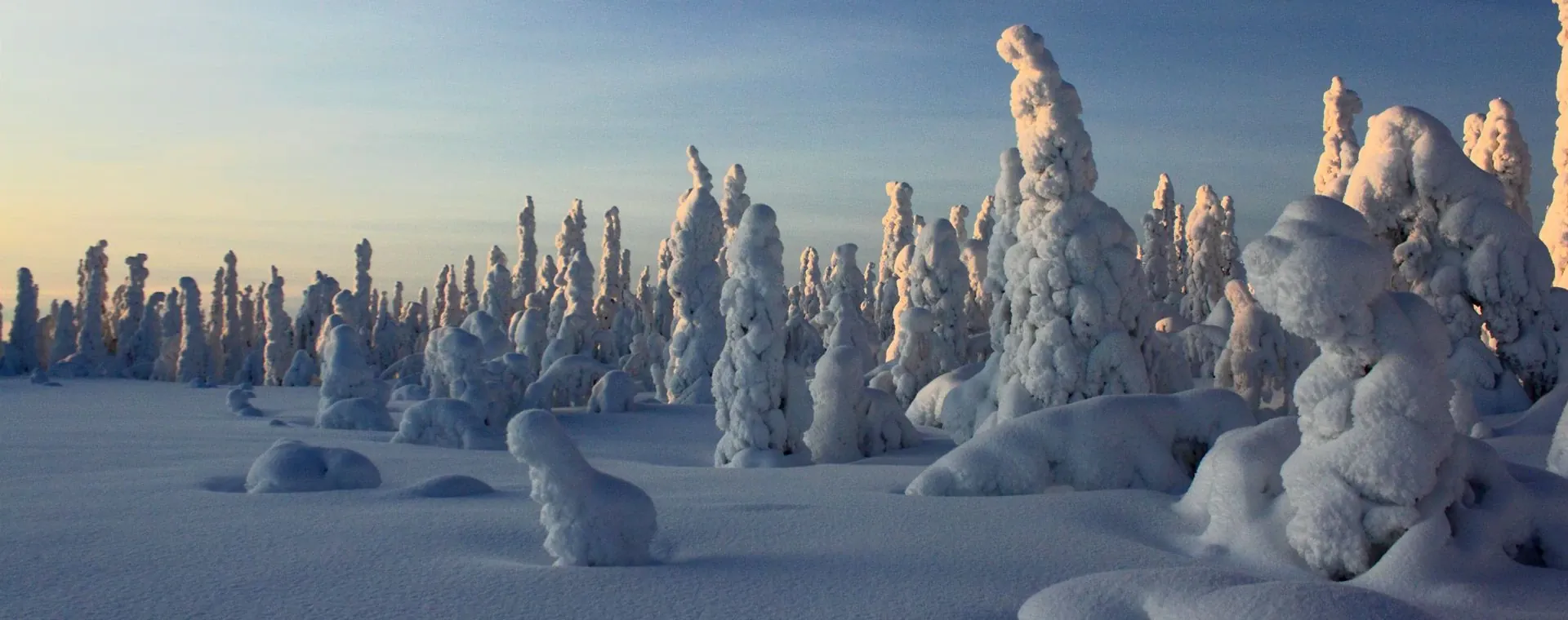 Hauts Plateaux du Vercors en hiver - France