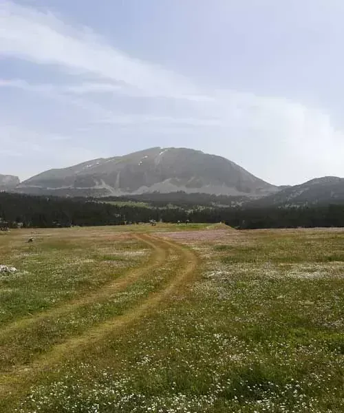 Hauts Plateaux du Vercors avec le Grand Veymont - France