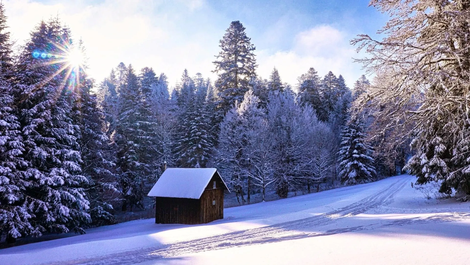 Vercors Hiver Cabane Foret - Vercors - France
